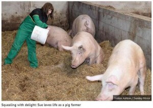pig farmer