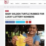 Can golden turtle help you win the lottery?